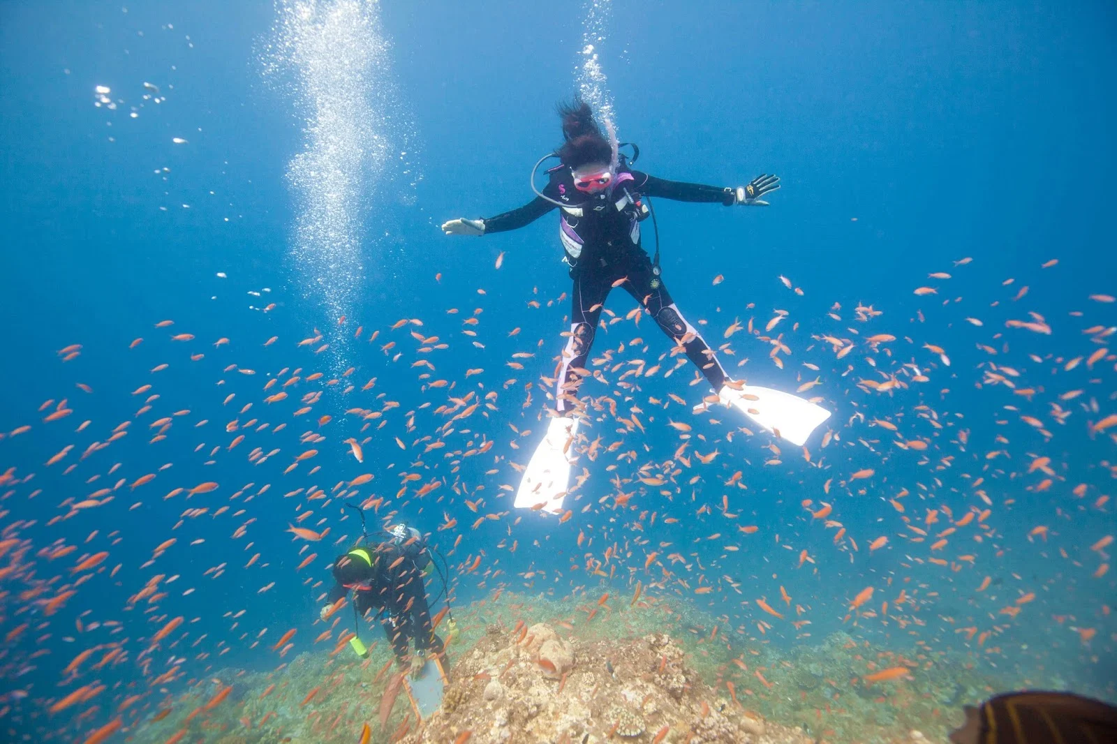 沖繩-沖繩潛水-沖繩浮潛-宮古群島-推薦-潛點-Okinawa-scuba-diving-snorkeling