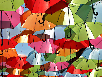Gambar Payung Warna Warni Indah Wallpaper Harimau