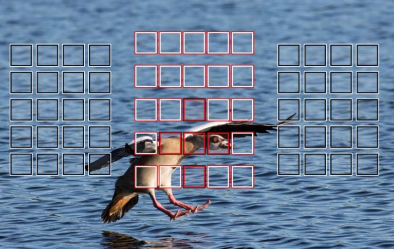 canon 600d focus points