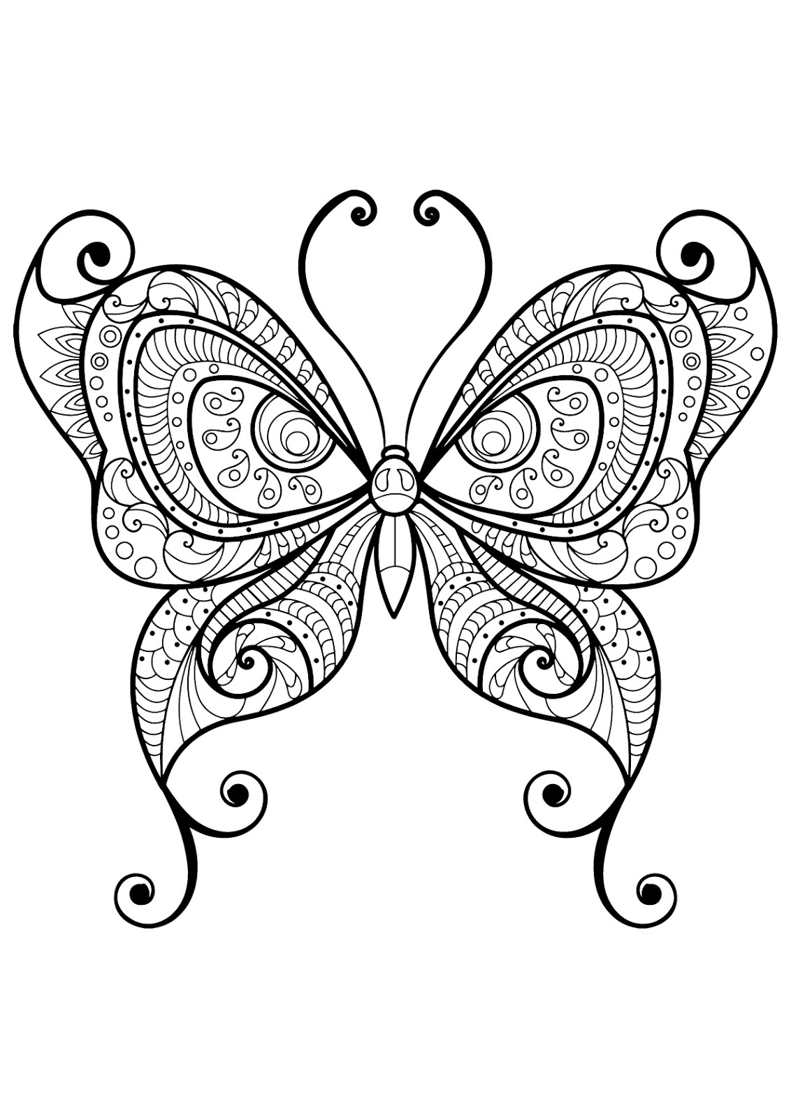 Tranh tô màu con bướm họa tiết ấn tượng