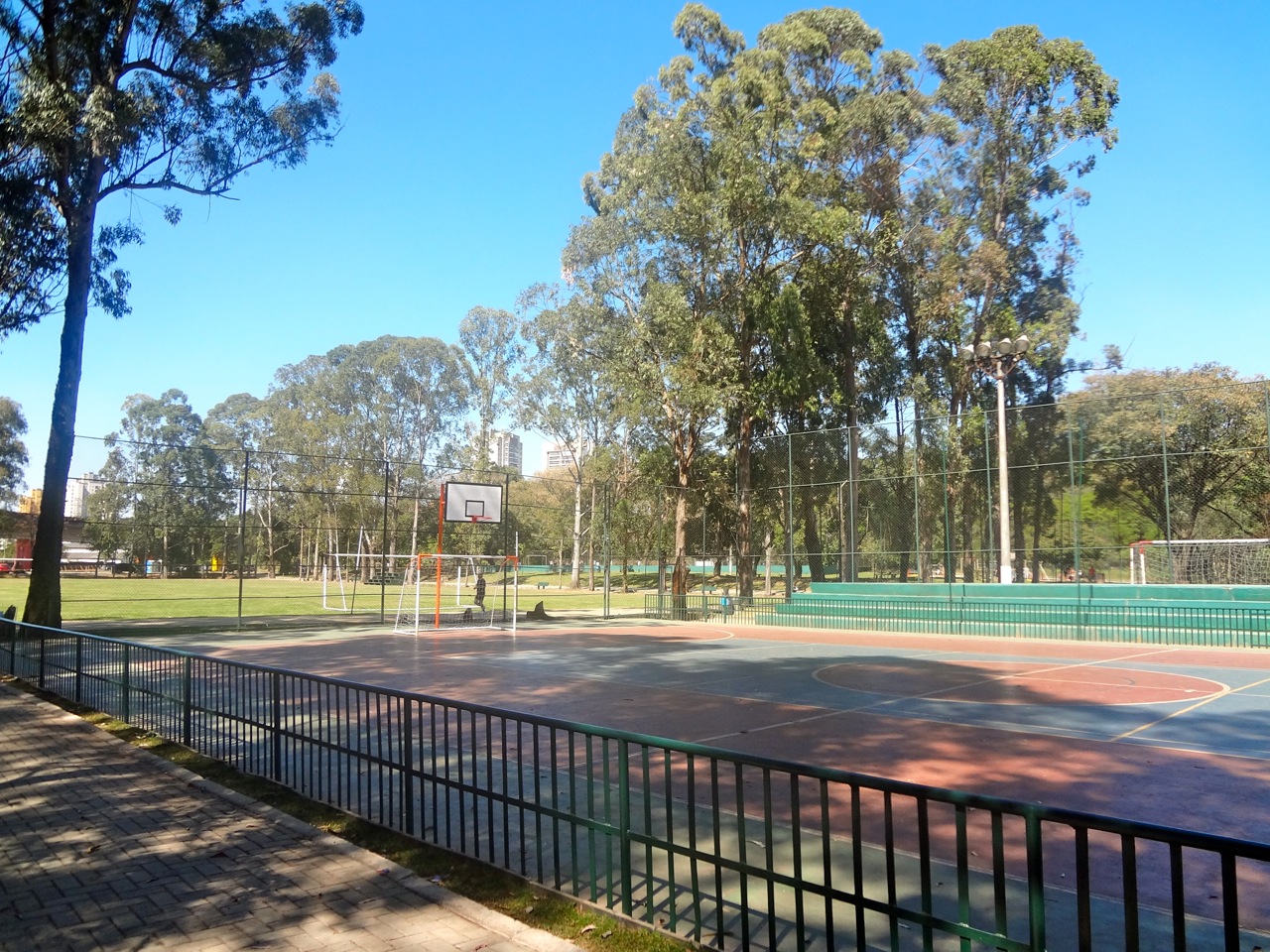 Parque Leopoldina Orlando Villas-Bôas recebe jogo decisivo do campeonato  brasileiro de futebol americano, Secretaria Municipal do Verde e do Meio  Ambiente