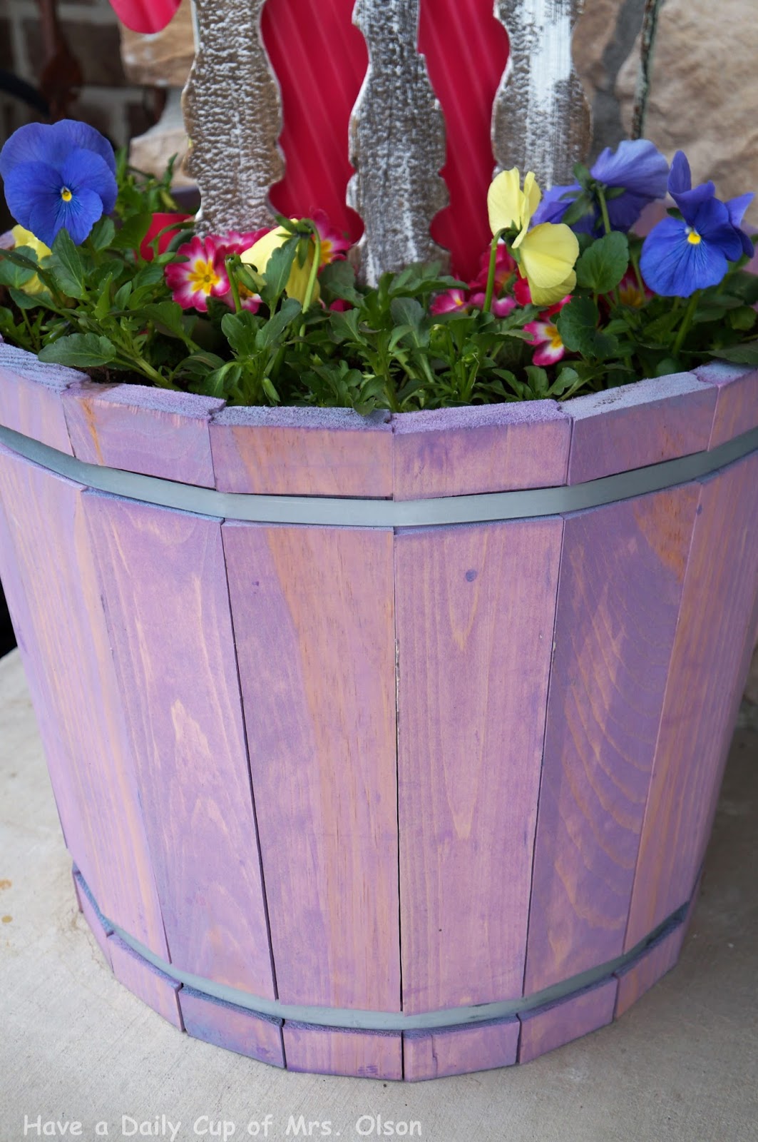 Playing with Plants and Purple Planters. . . Have a Daily Cup of Mrs