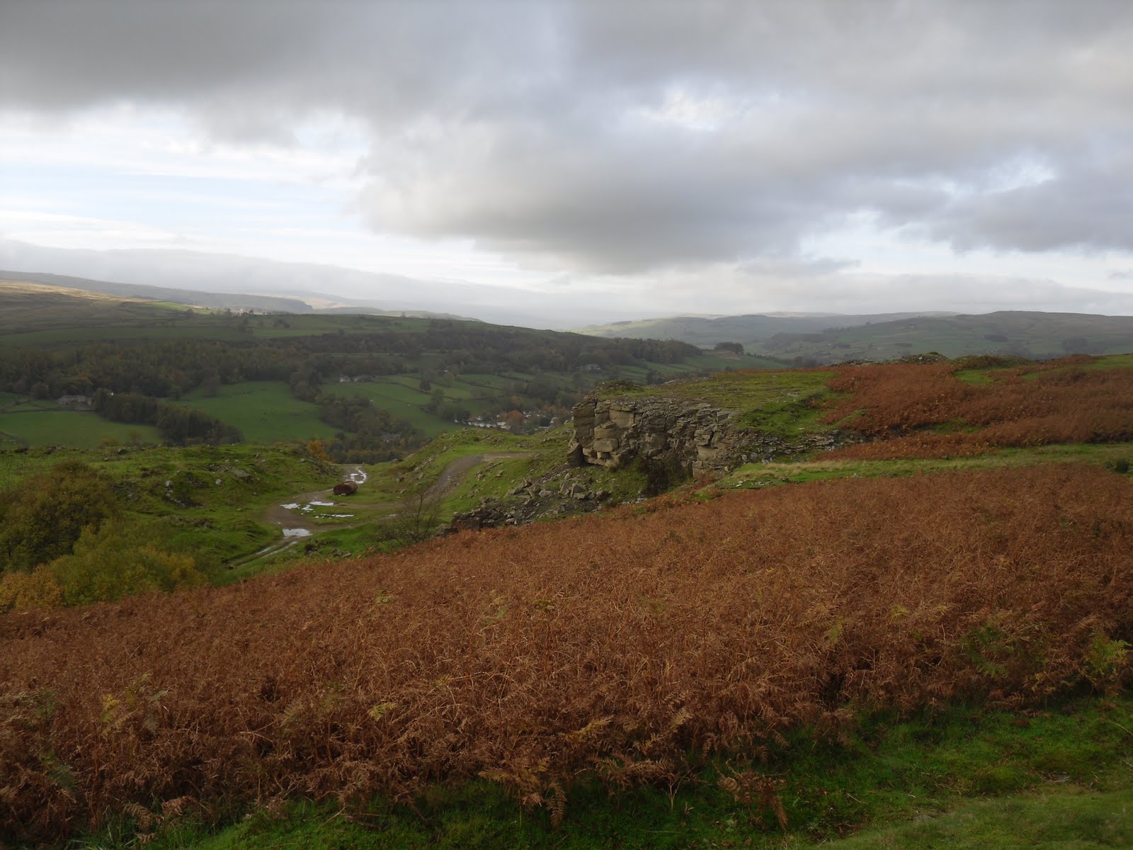 Rambling Nana Stanhope & Wolsingham Park Moor