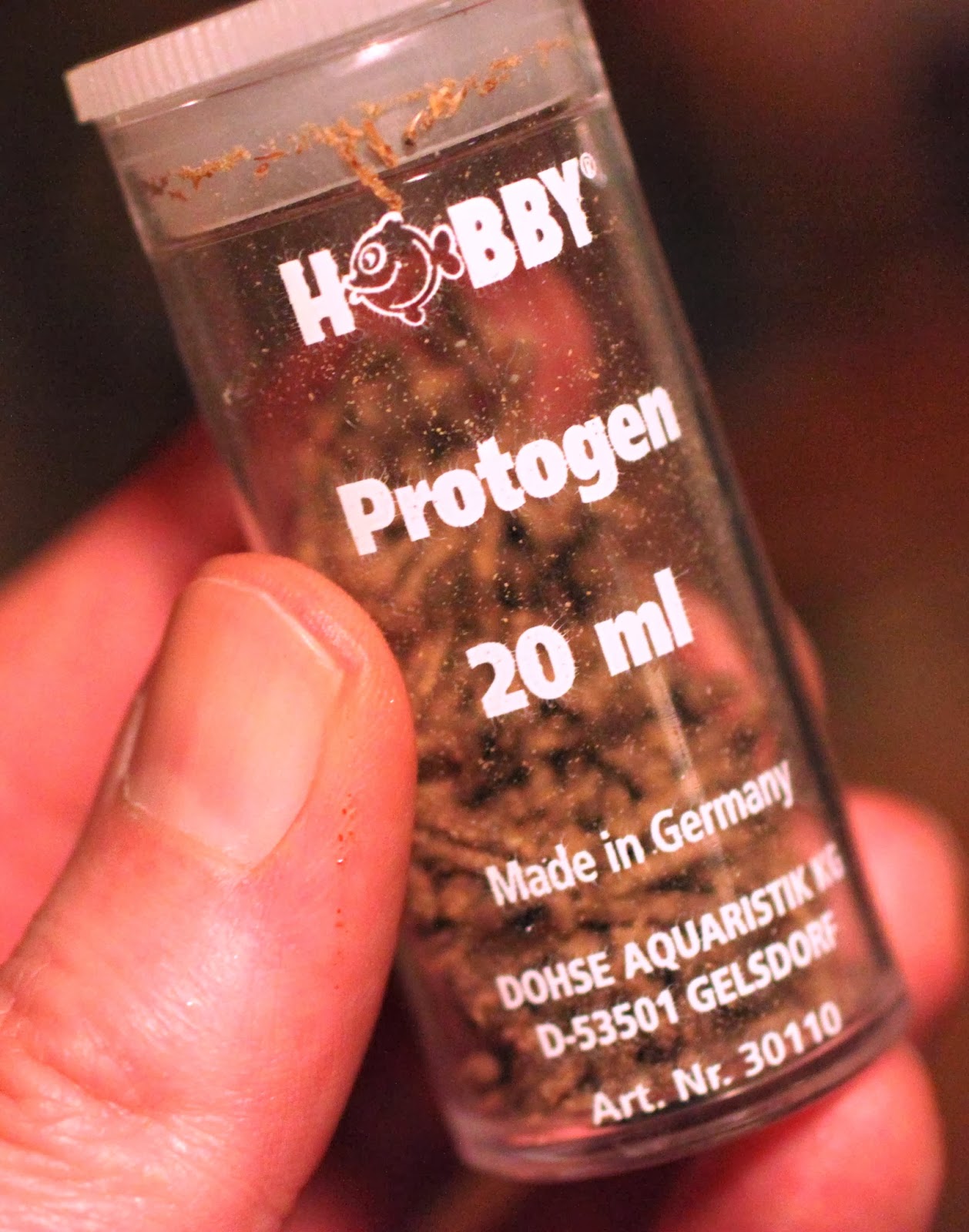 Choose The Right Aquarium Fish Food: Live infusoria, Grindal ...