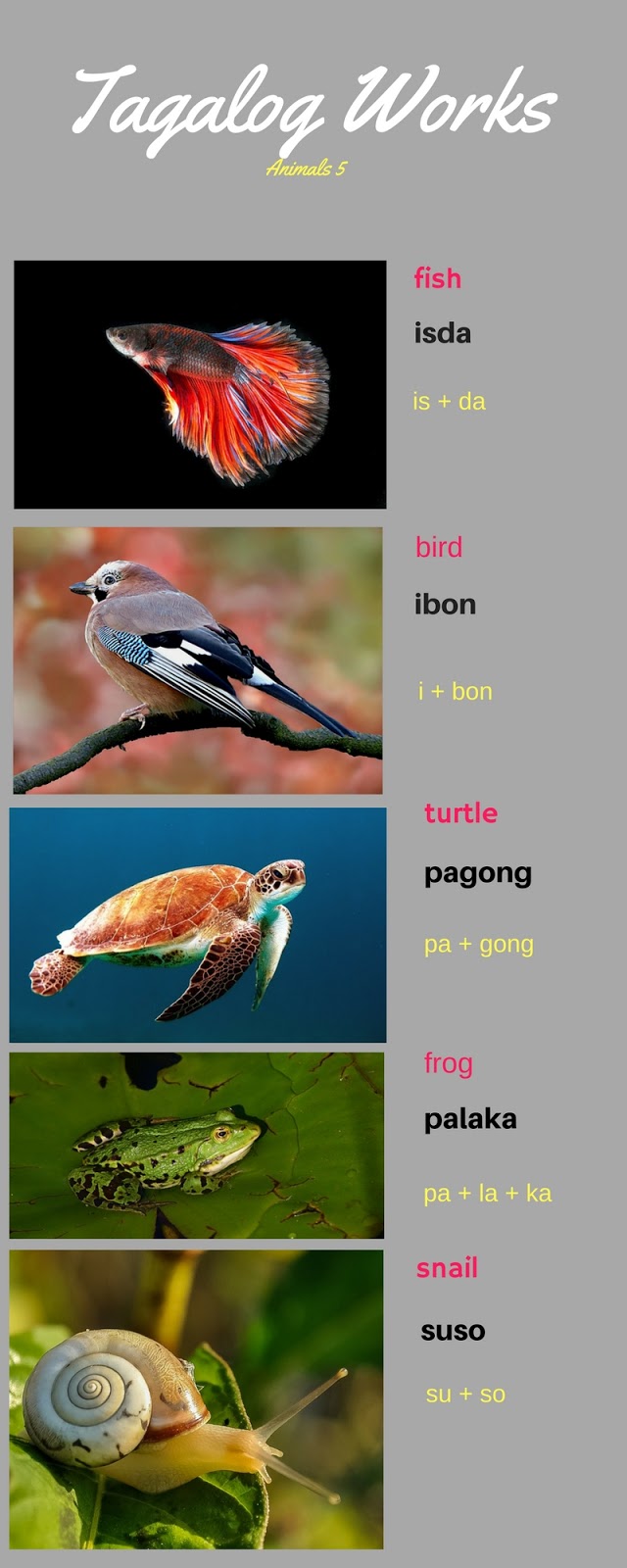Animals in Tagalog