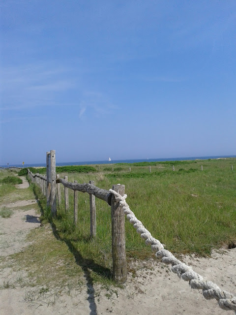 02 01 2003 Meinung Zur Vorzeitigen Trennung Stadt Pirmasens