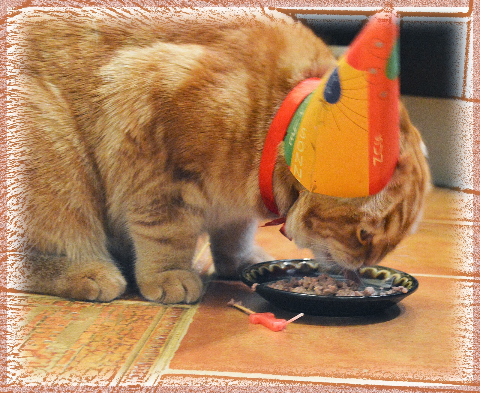 День рождения кота песня. Угощение для кота. С днем рождения кот. Кот угощает. Палочки угощение для котов.