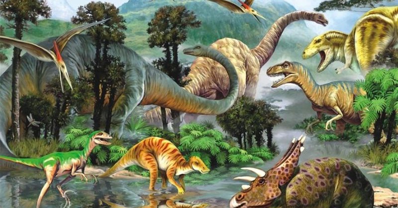 READER AT WORK : WHAT HAPPENED TO THE DINOSAURS?