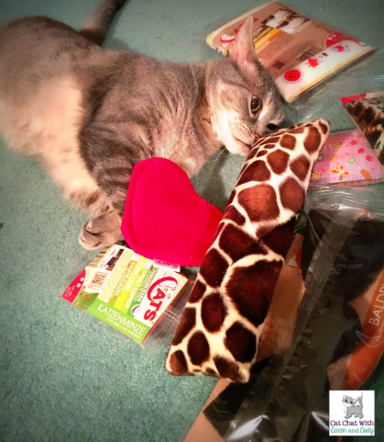 Cat Chat With Caren And Cody Cat Toy WorldWide GiveAway from 4CATS