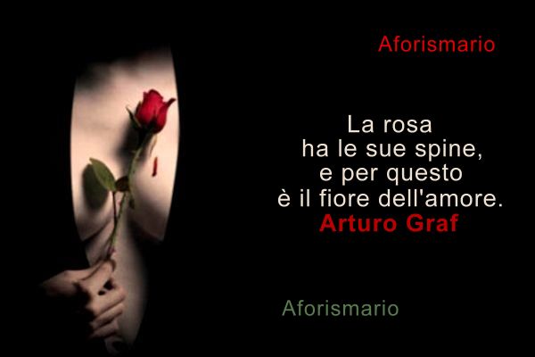 Featured image of post Frasi Sulle Rose Rosse Tumblr Petali di rose rosse sono con le spine che feriscono la pelle mia