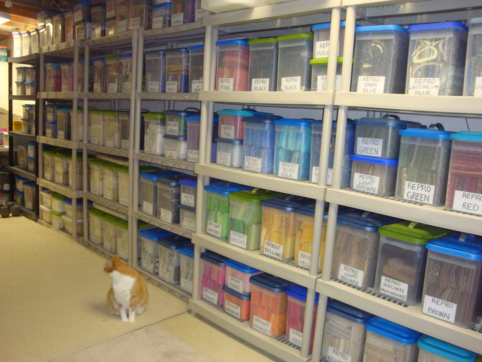 fabric stash quilt shop