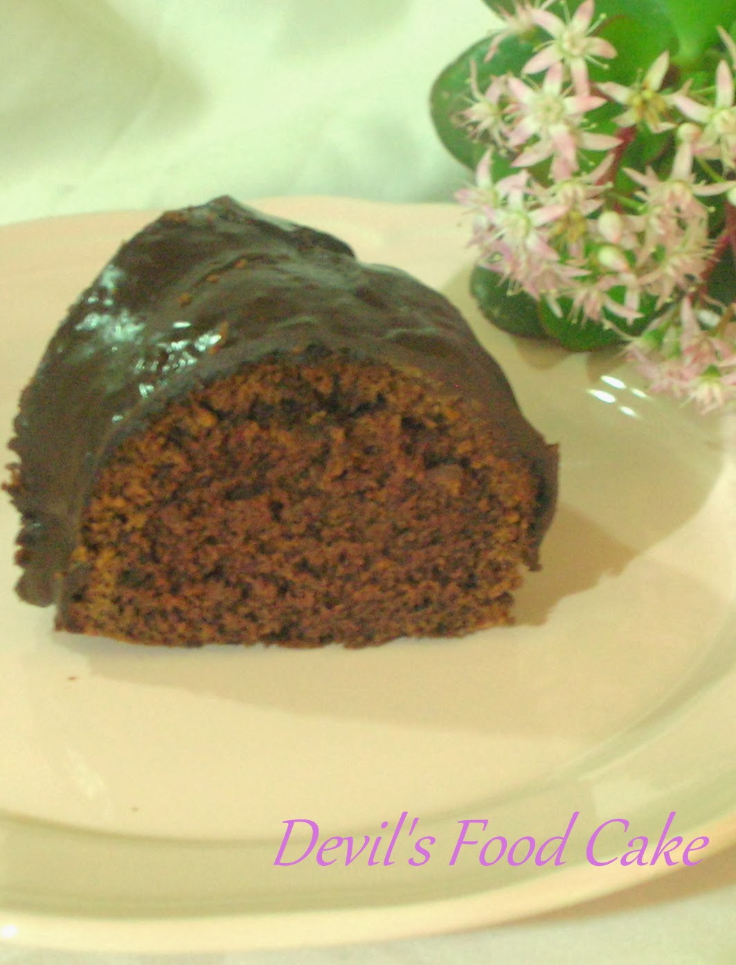 la torta del diavolo (devil's food cake) e se il buongiorno si vede dal mattino....