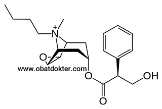 molekul-hyoscine-atau-scopolamin-butylbromida-obat-antispasmodik-otot-polos