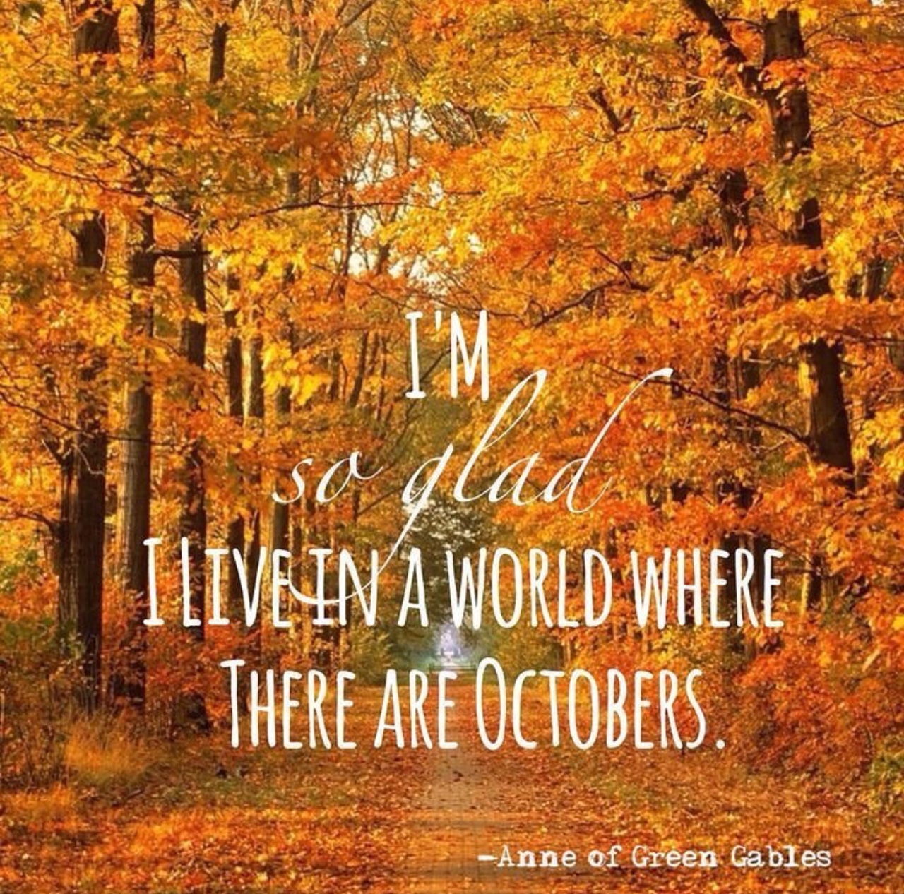 15 Fall Quotes