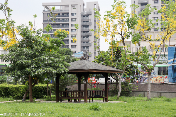 台中太平|新福公園|阿勃勒|紫薇花|水雉裝置藝術|綠草坪|籃球場|運動休閒