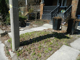 Toronto Parkdale front garden spring clean up before by Paul Jung Gardening Services