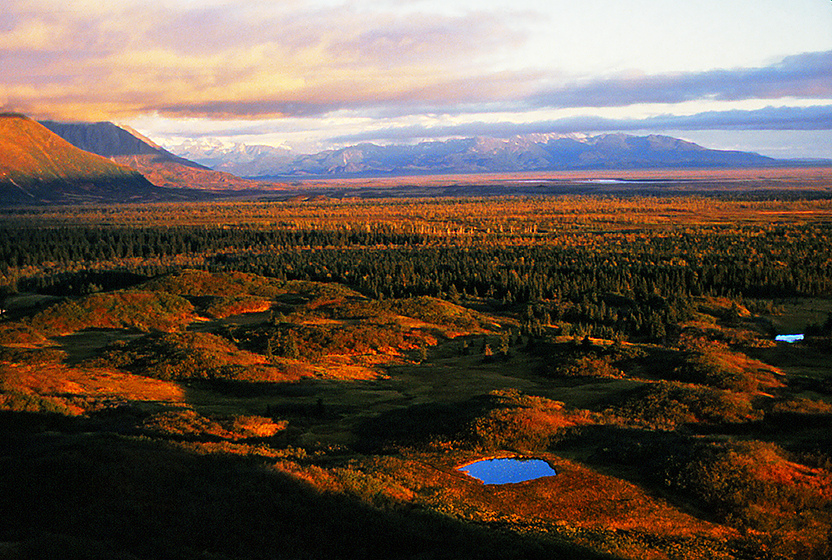 LittleBearProd Blog Weekly Post, "Adventuring on the Yakutat
