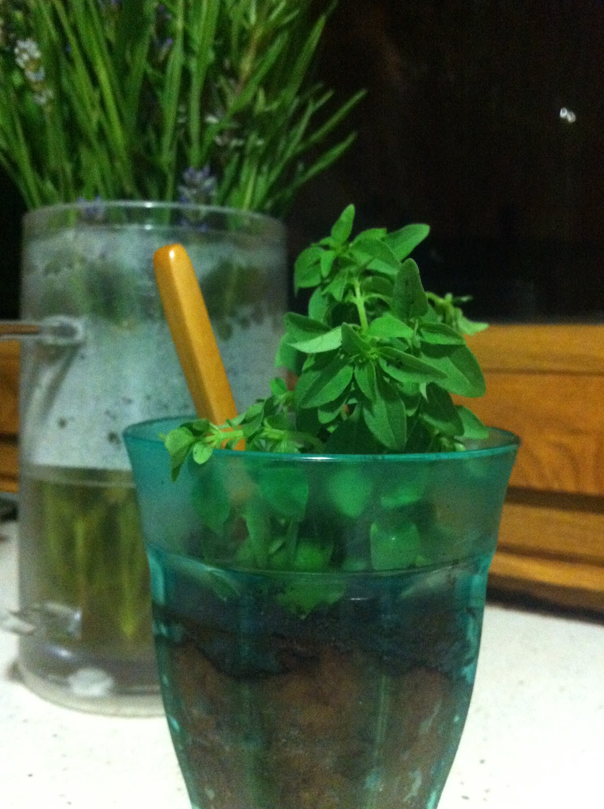 Princesas en Acción: ¿Cocina o jardinería?