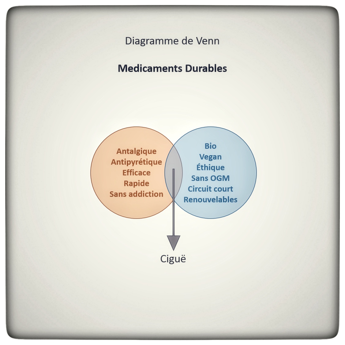 Venn%2Bm%25C3%25A9dicaments-01.jpeg