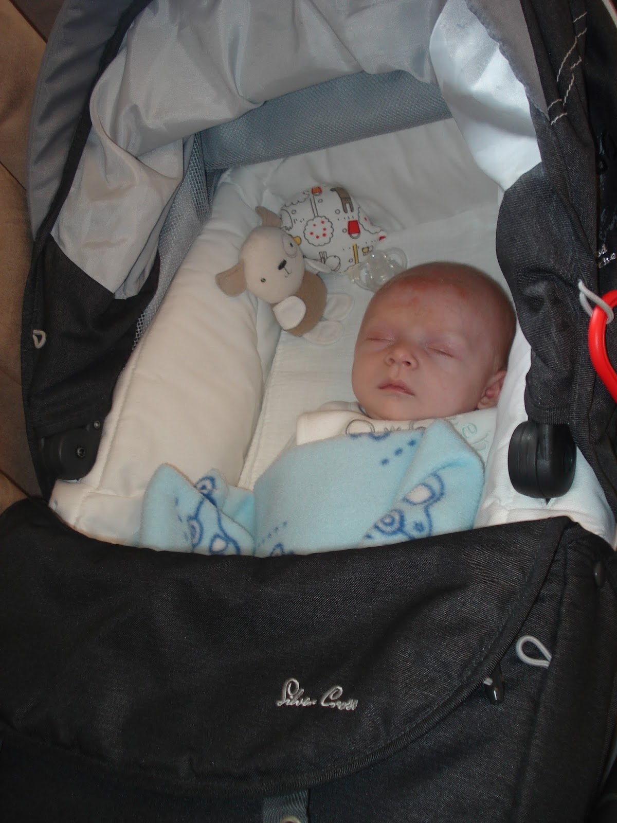 silver cross linear freeway pram liner