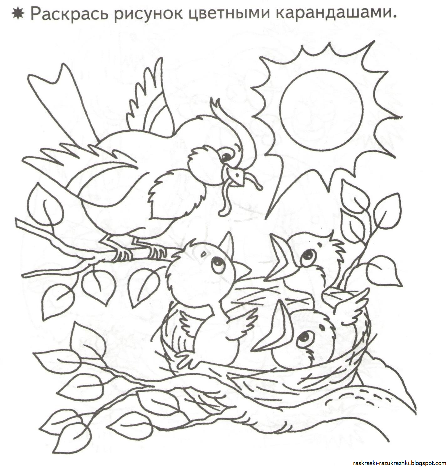 Раскраска Весна для детей 6-7 лет природа птицы