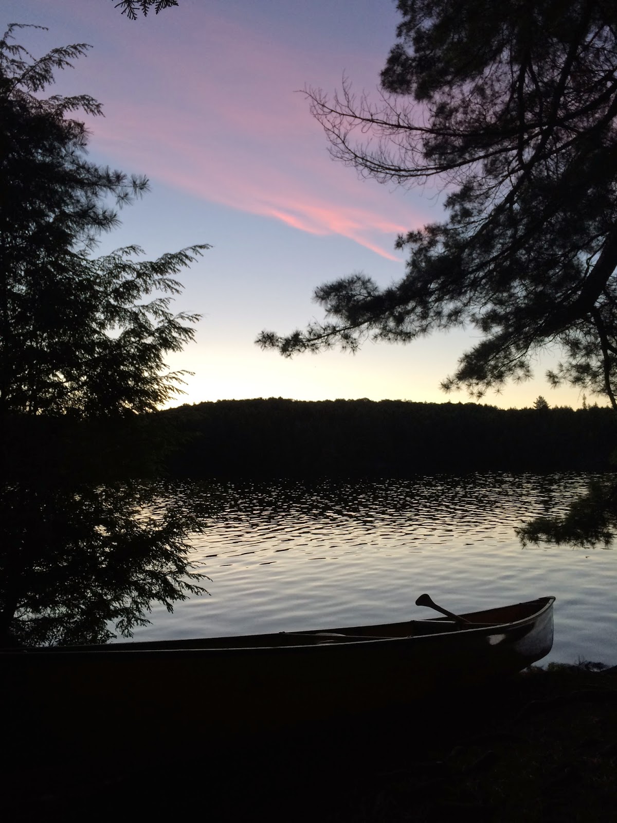 into the wild with jimmy Canoe Trip Algonquin Provincial Park, Canada