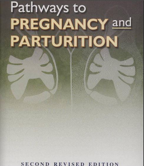 Pathways To Pregnancy And Parturition