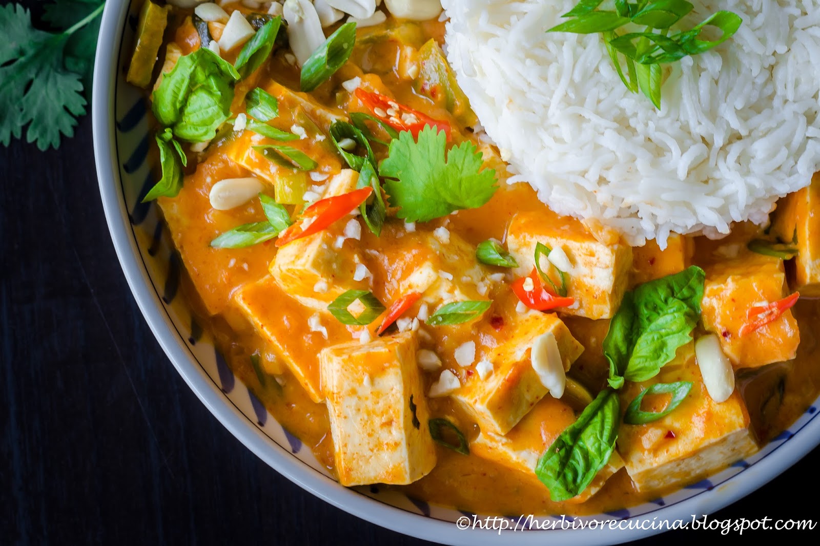 Herbivore Cucina: Tofu Panang Curry