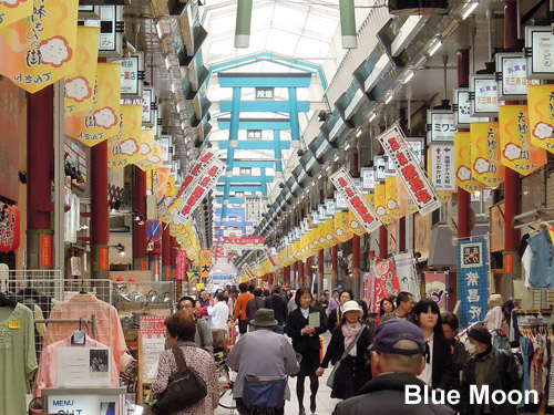 Blue Moon Travel Blog Self Travel Backpack One Day Trip Tenjinbashisuji Shopping Street Osaka Japan