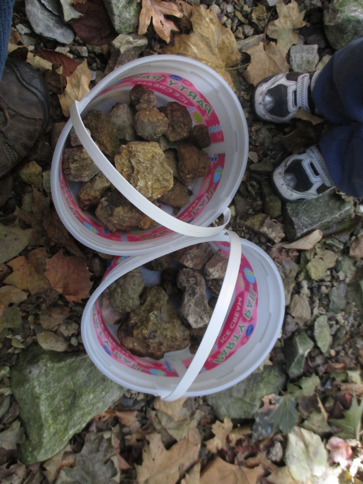 Backyard Excursions Finding Geodes At Wildcat Springs Park Hamiliton Il Spring Park Wild Cats Backyard