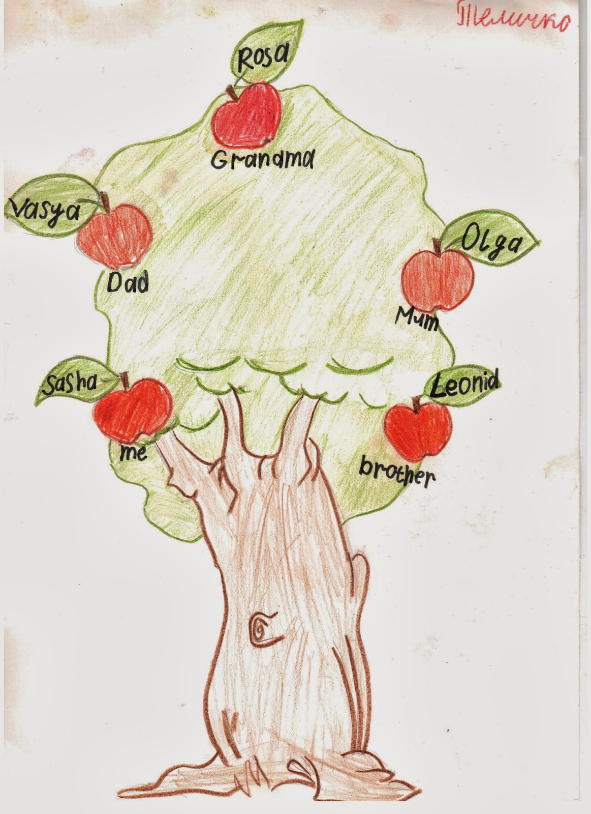 Нарисовать семейное дерево по английскому 3 класс