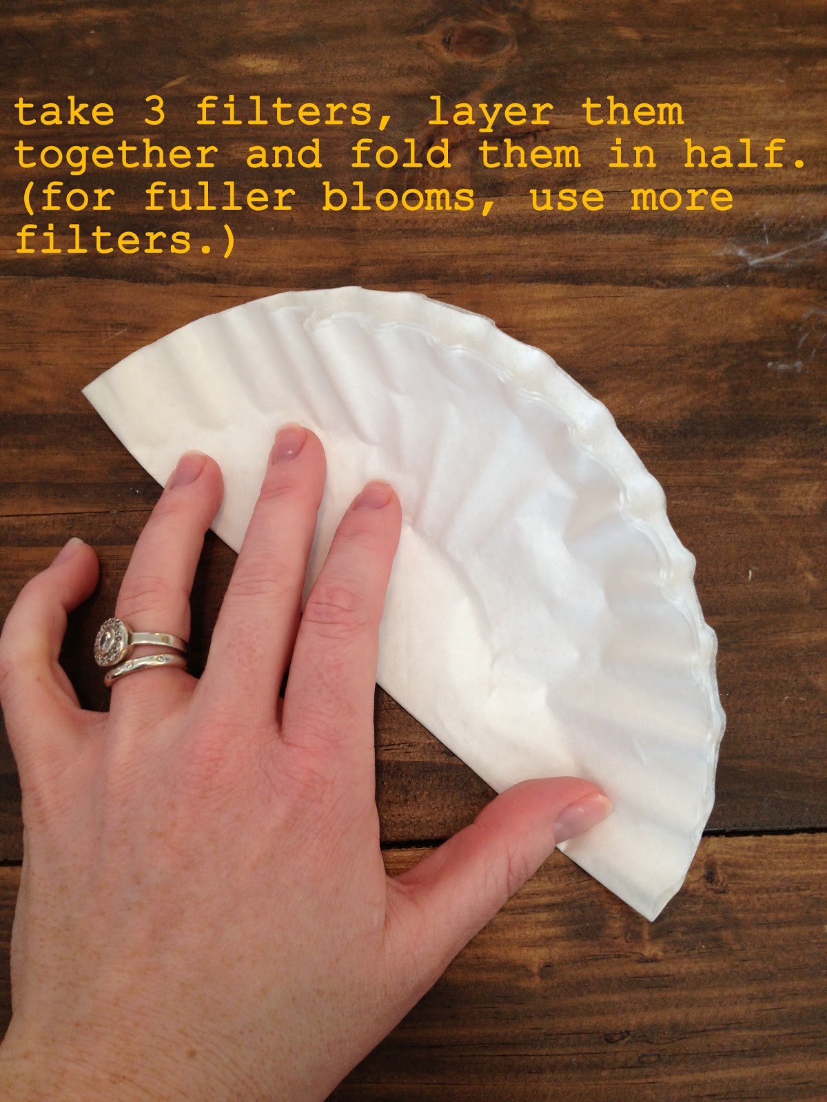 diddle dumpling Tutorial Coffee filter flowers