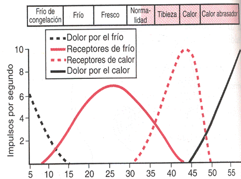 Sensaciones Térmicas