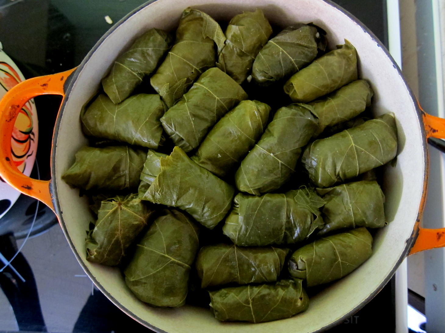 Wanderlust Queen Stuffed vine leaves with rice and olives