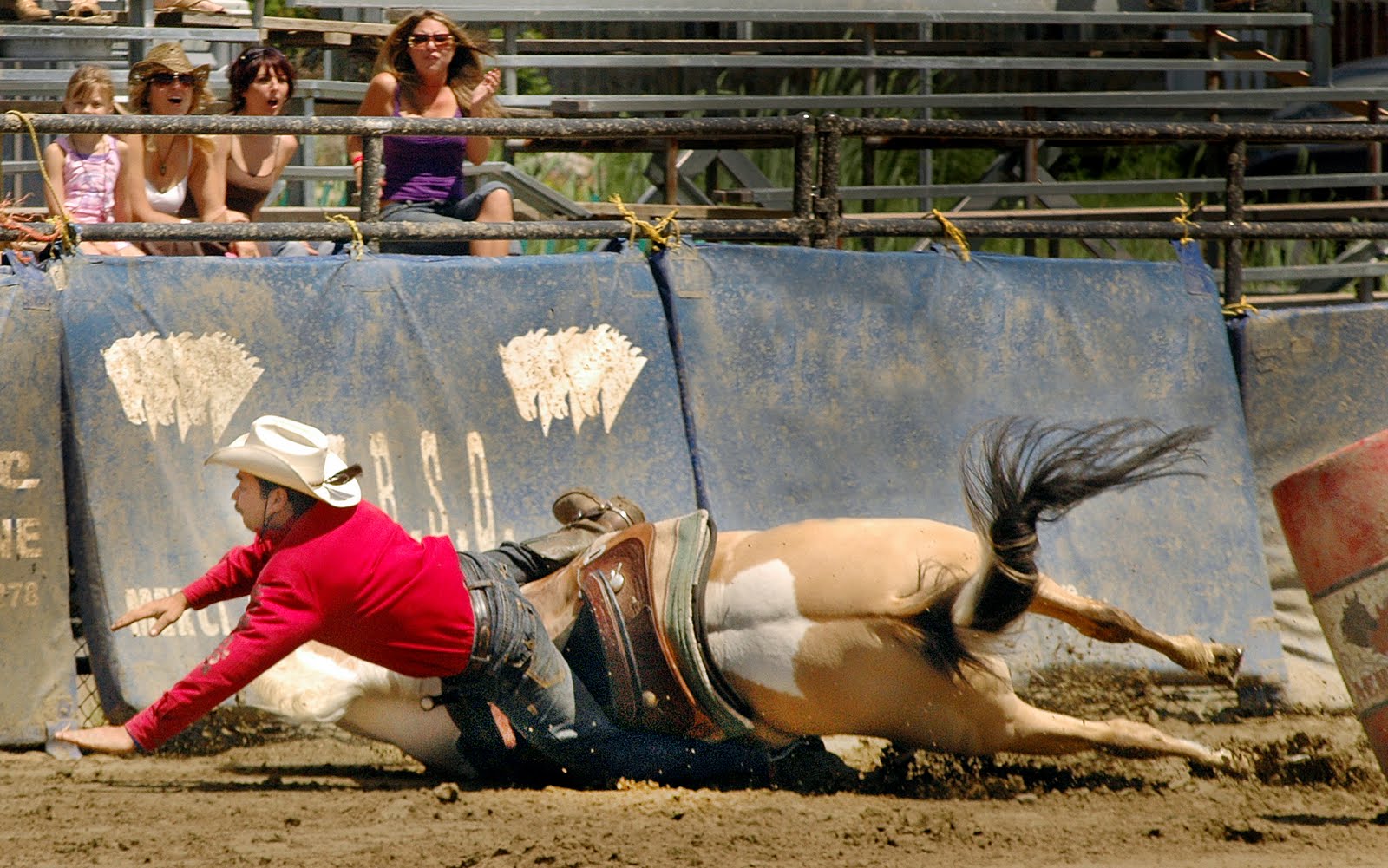 HORSE PHOTOGRAPHY Barrel Race 2