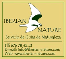 Iberian Nature - Servicio de guías de naturaleza