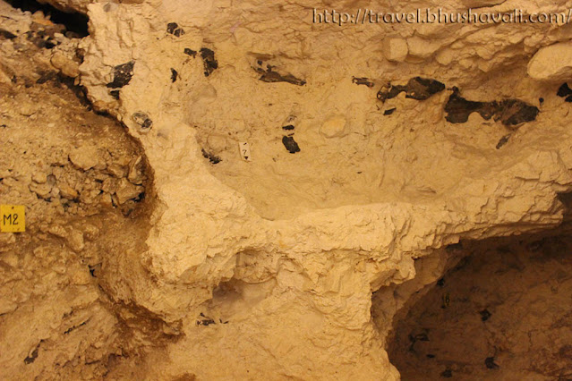 Neolithic Flint Mines at Spiennes Silexs Mons Wallonia UNESCO