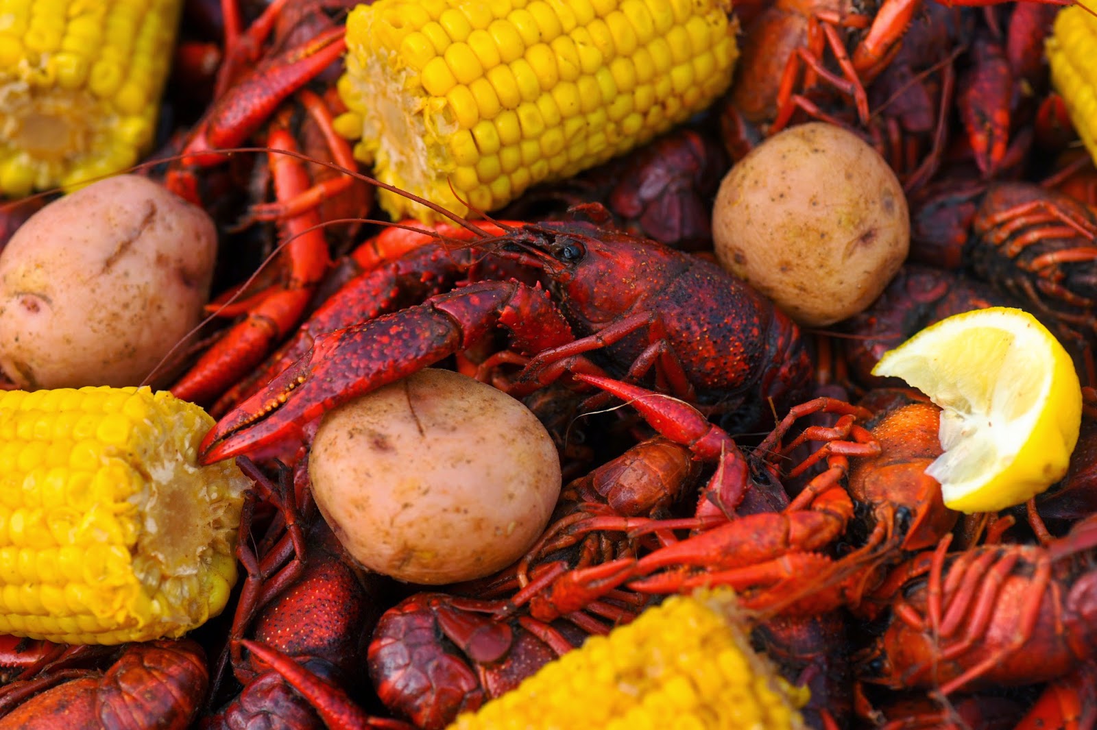 Visit Lake Charles, LA Eating Boiled Crawfish Visit Lake Charles, LA Eating Boiled Crawfish