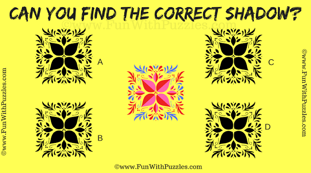 Challenging Shadow Picture Puzzle: Can You Spot the Match?
