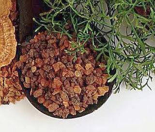 Plantas Mágicas: Mirra Plantas Mágicas: Mirra