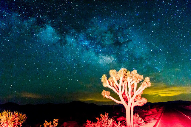 Joshua Tree National Park