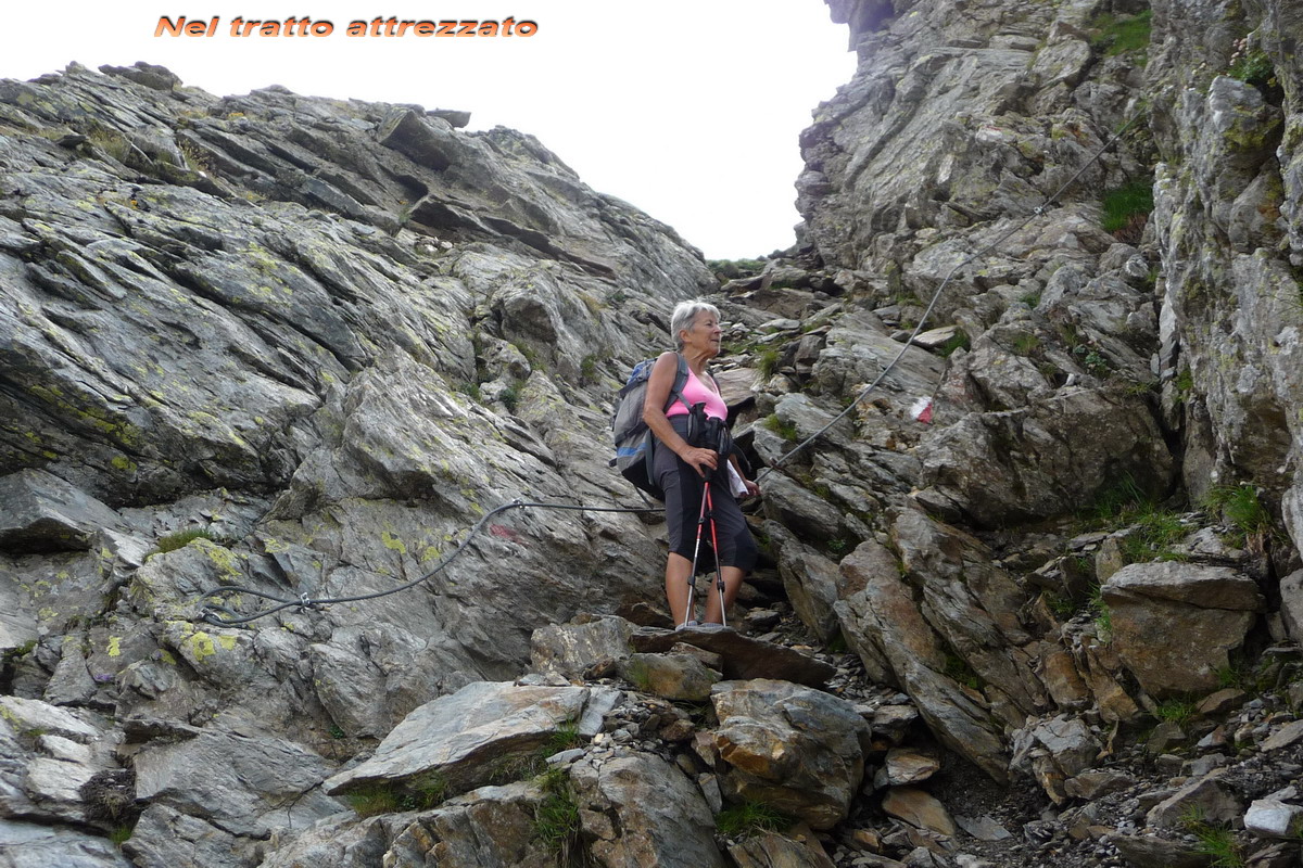 Fernando Gardini Cima San