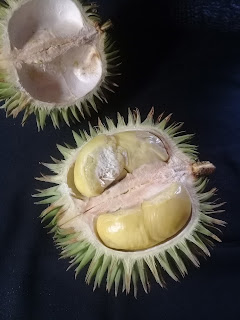 mawawin, bau dan rasanya seperti durian durian marawin