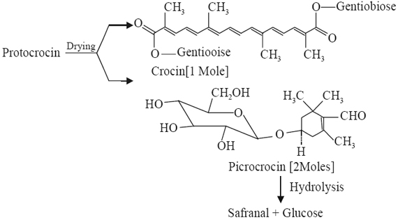 protocrocin
