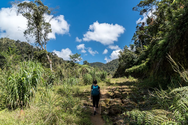 Région de l'Ifugao-Luçon-Philippines