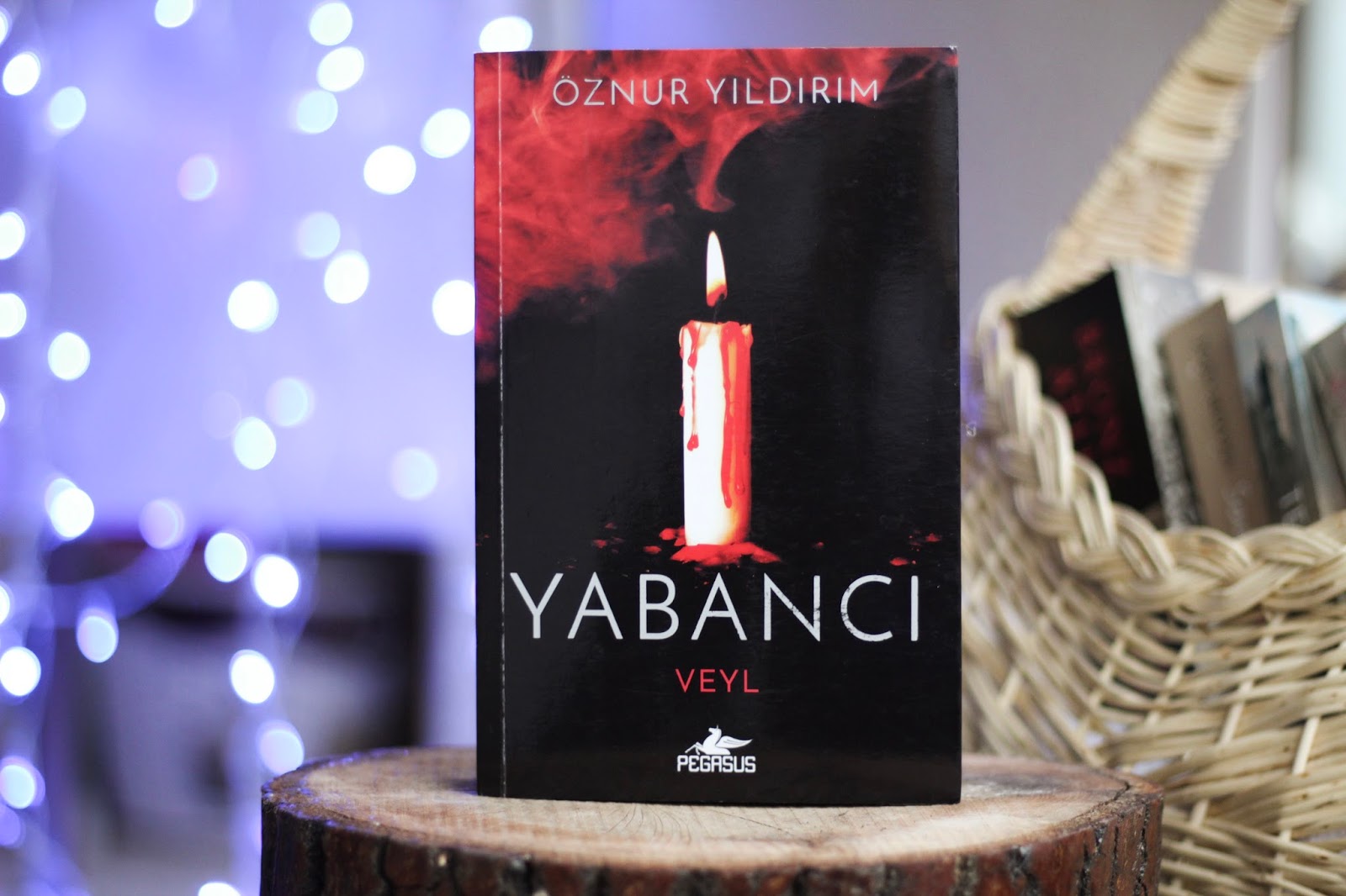 Kitaplar Ve Sozleri Yabanci Veyl Yabanci 2 Oznur Yildirim Pegasus Yayinlari