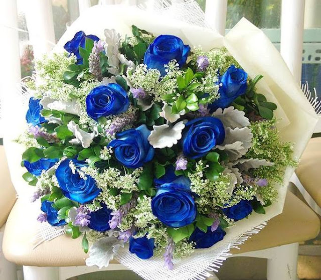 Kết quả hình ảnh cho hoa hồng xanh