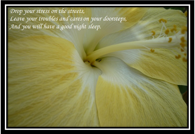 Photos with quotes: Be healthy!