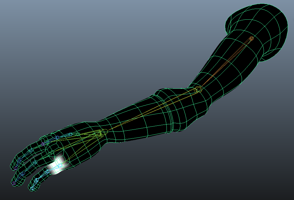 Maya Tutorial Smooth Bind Paint Weights Kayliegh Anderson
