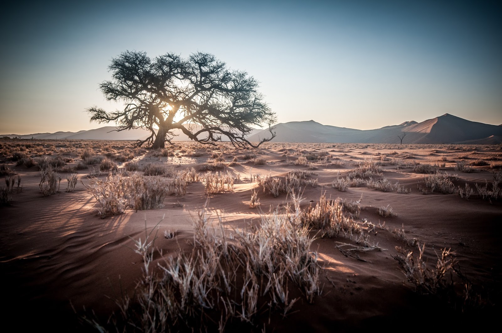 Namibia Africa Desert Sunrise Desktop Wallpaper